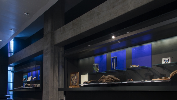 two display cases with items from an exhibition on the theme of blue