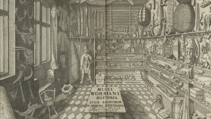 black and white engraving of a room with shelves full of exhibits